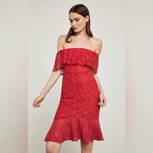 BCBGMaxAzria Off-the-shoulder floral lace overlay cocktail dress. Size 4.